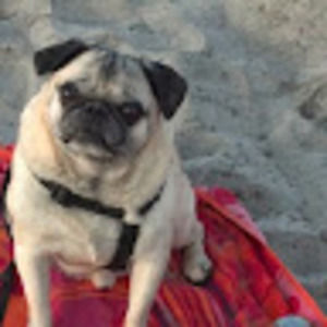 Meet your Posher, Leanna